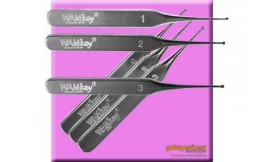 WAMkey Intro Kit